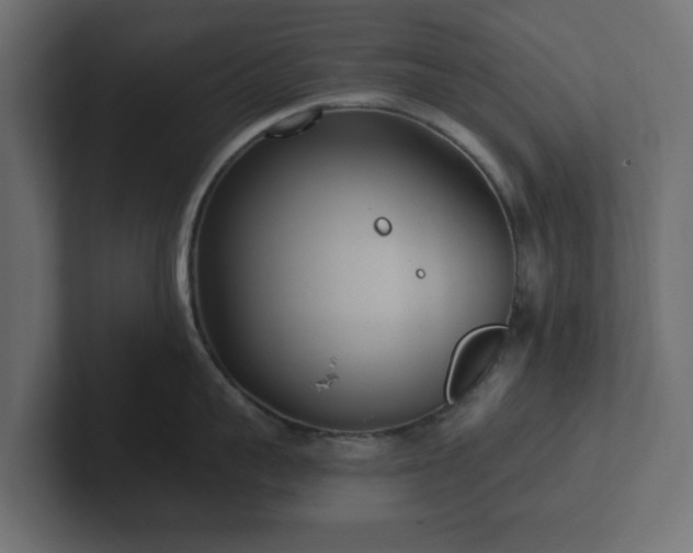 X0000102790959200808251026