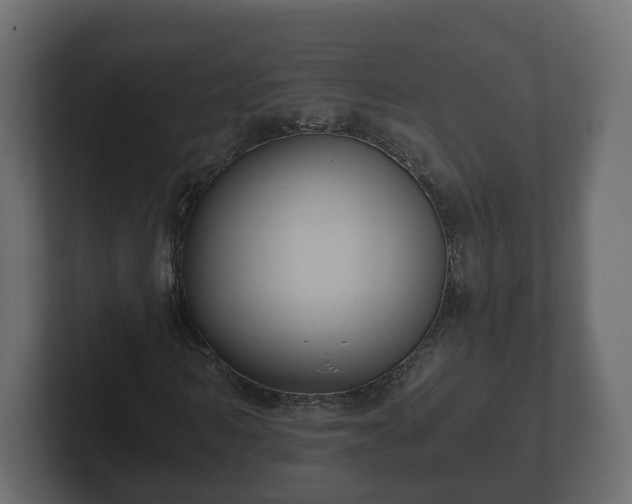X0000102790962200808251025
