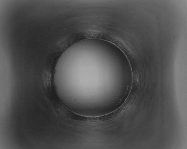 X0000102790964200808251025