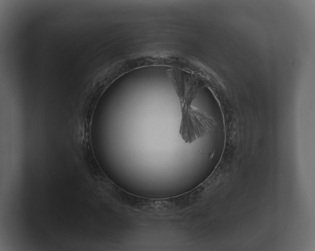 X0000102790966200808251025