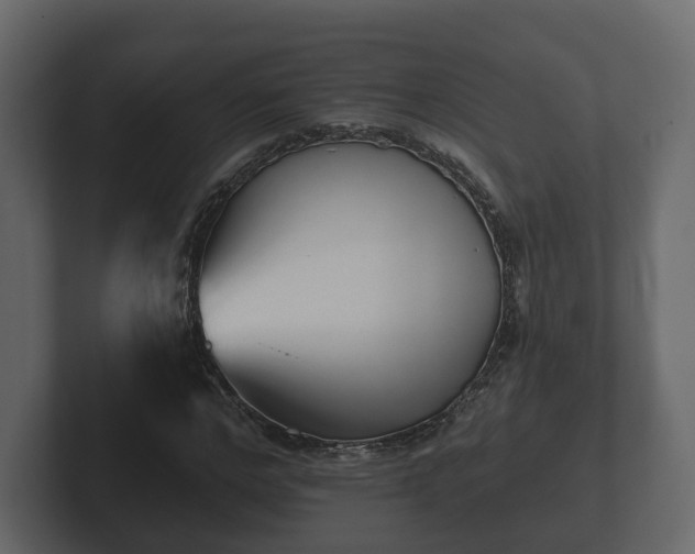X0000102790968200808251025
