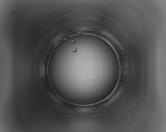 X0000102790969200808251025
