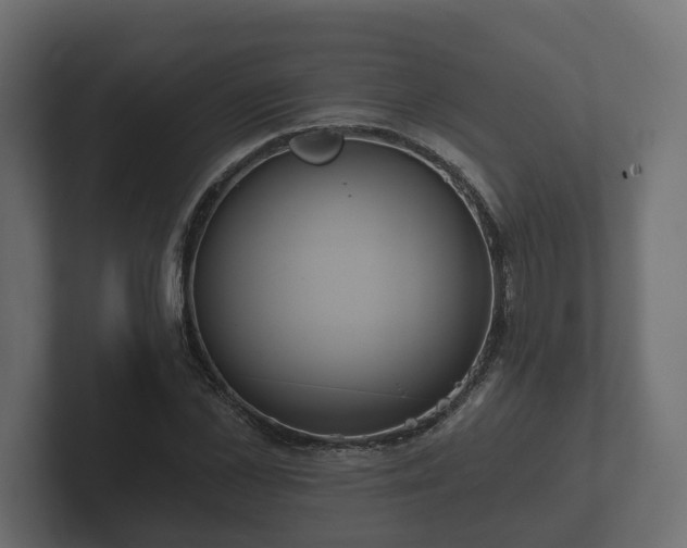X0000102790973200808251025