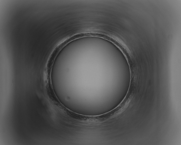 X0000102790974200808251025