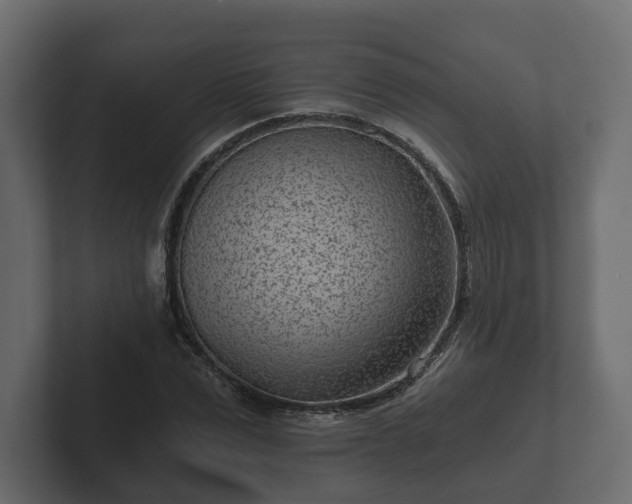 X0000102790975200808251025