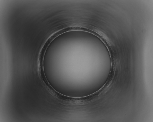 X0000102790976200808251025