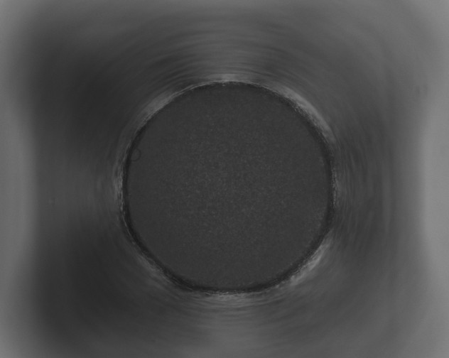 X0000102790977200808251025