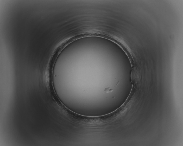 X0000102790979200808251025