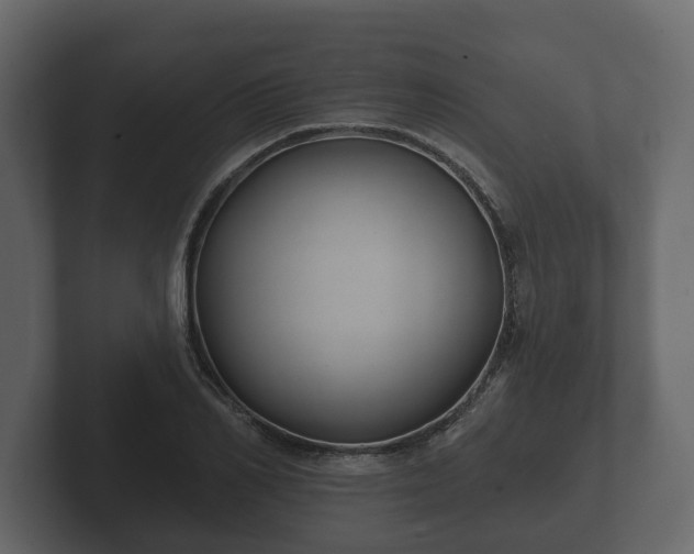 X0000102790982200808251025