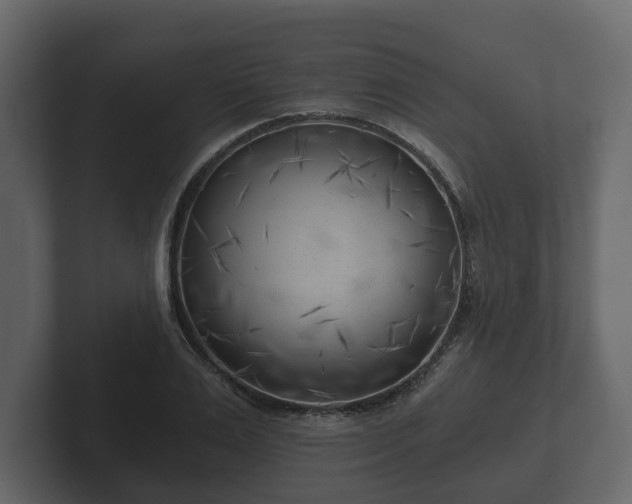 X0000102790983200808251025