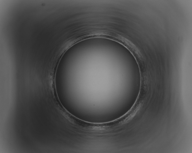 X0000102790985200808251025