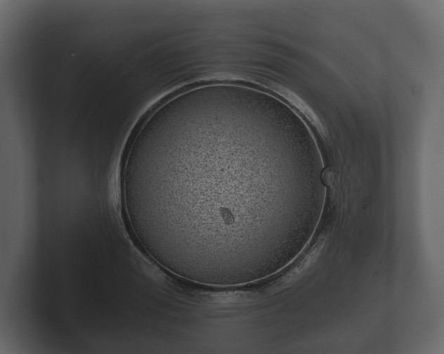 X0000102790988200808251025