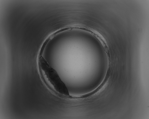 X0000102790989200808251025