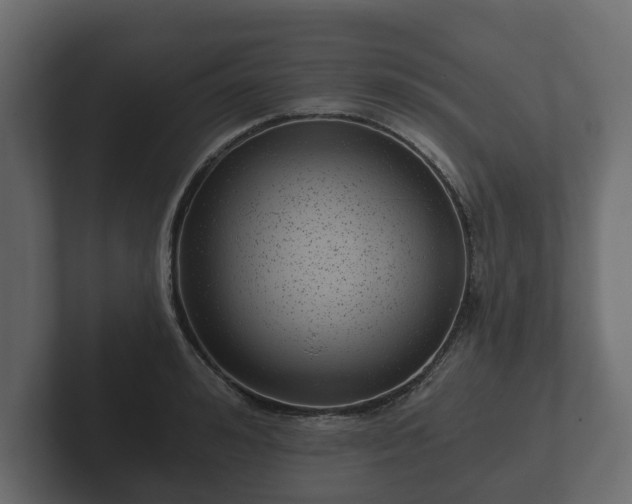 X0000102790992200808251025