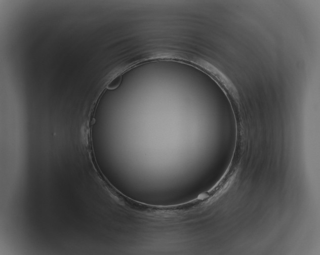 X0000102790993200808251025