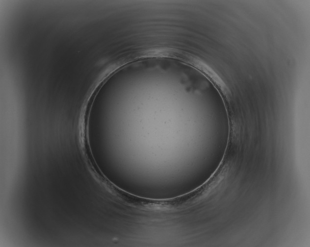X0000102790994200808251025