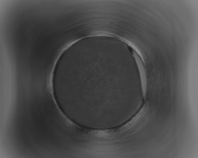 X0000102790995200808251025
