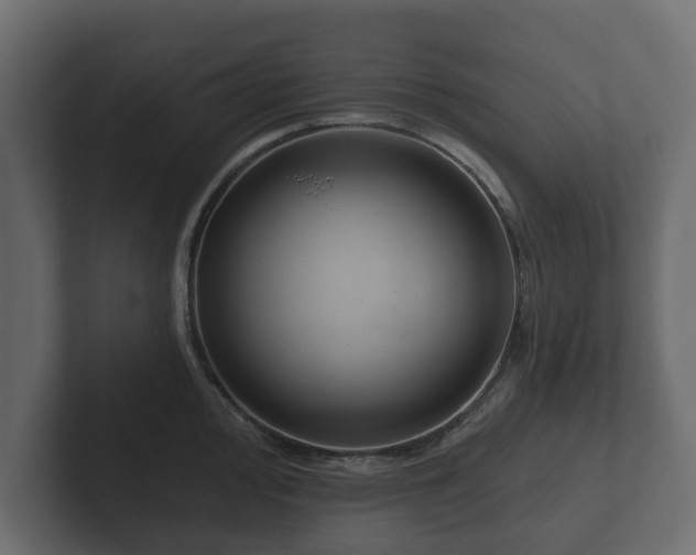 X0000102791000200808251025