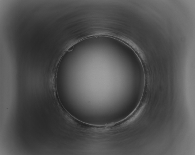 X0000102791001200808251025