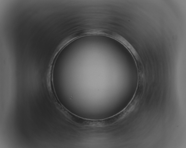 X0000102791002200808251025