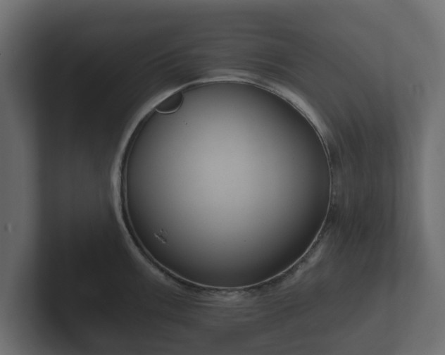 X0000102791003200808251025