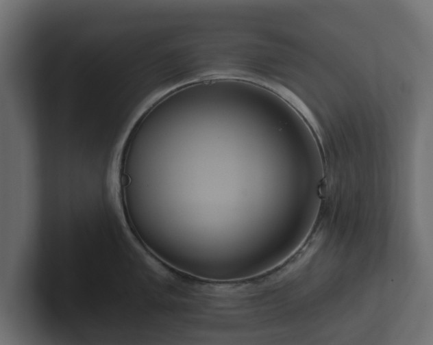 X0000102791005200808251025