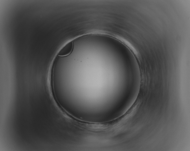 X0000102791007200808251025