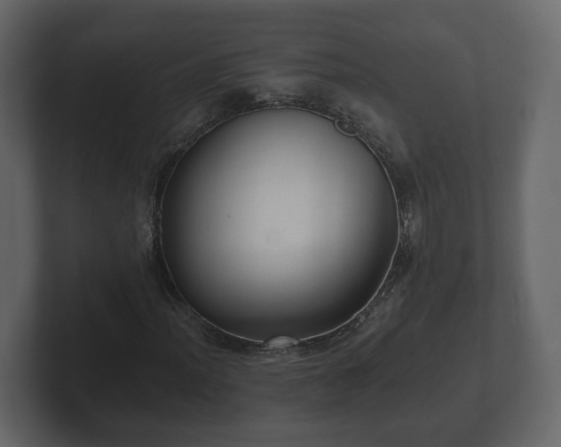 X0000102791012200808251024