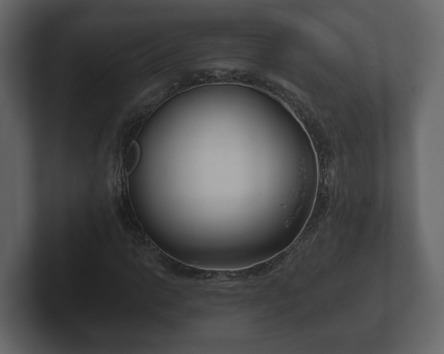 X0000102791014200808251024