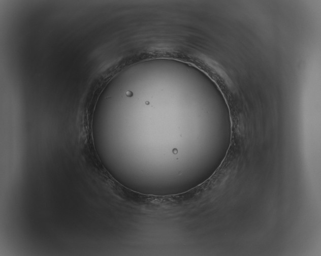 X0000102791015200808251024