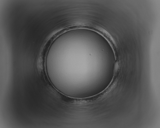 X0000102791019200808251024