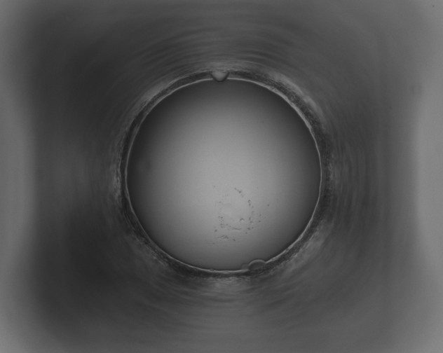 X0000102791025200808251024