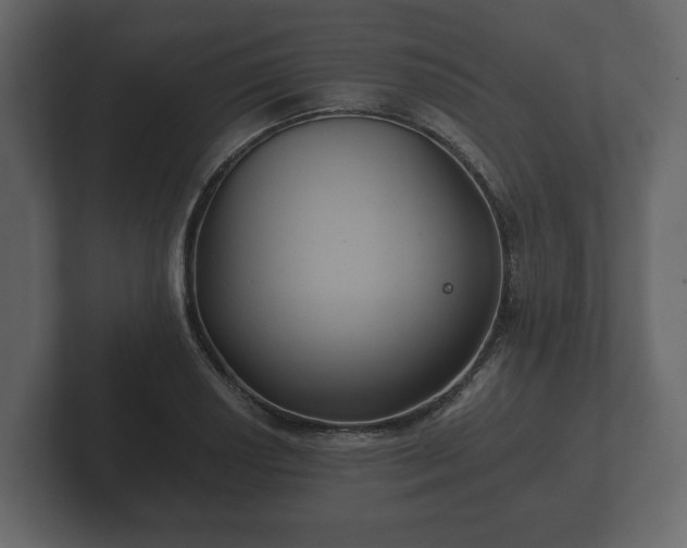 X0000102791034200808251024