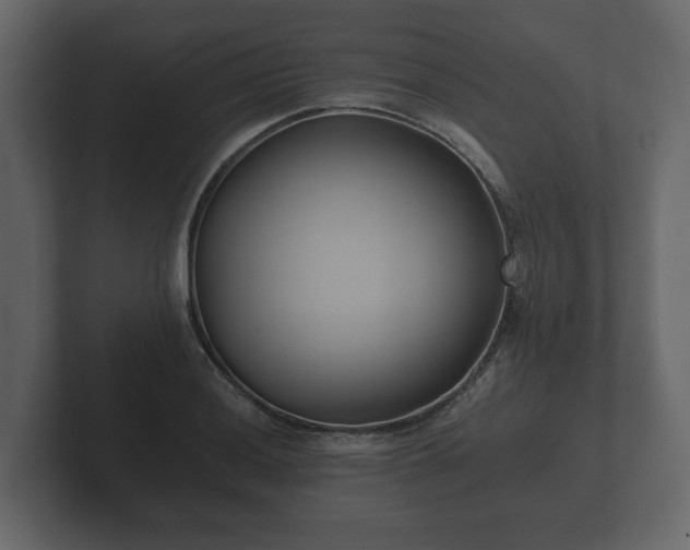 X0000102791036200808251024