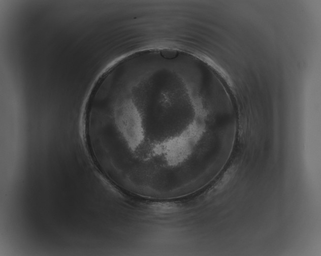 X0000102791037200808251024