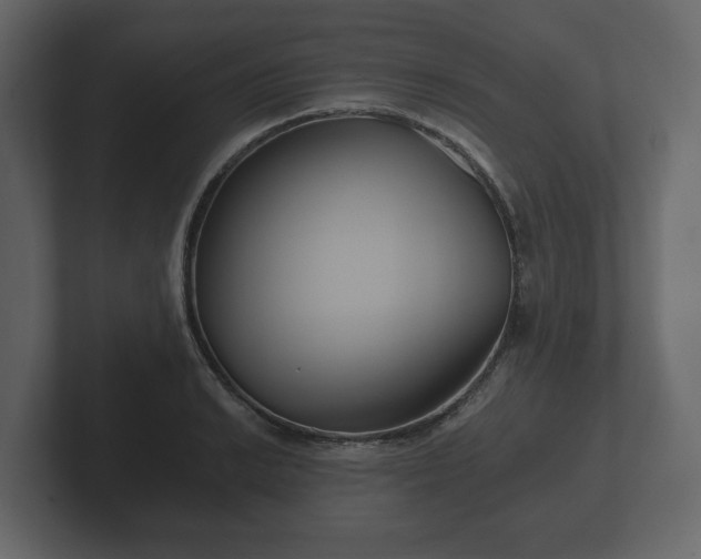 X0000102791038200808251024