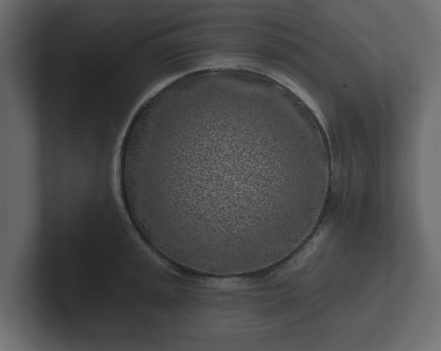 X0000102791045200808251024