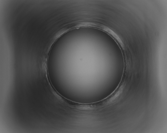 X0000102791049200808251024