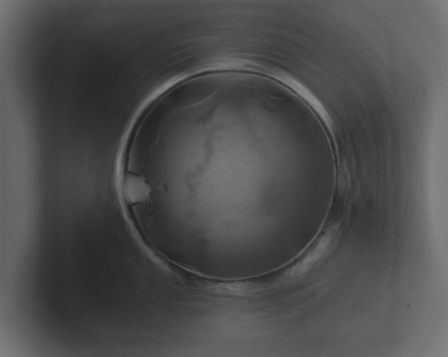 X0000102791053200808251024