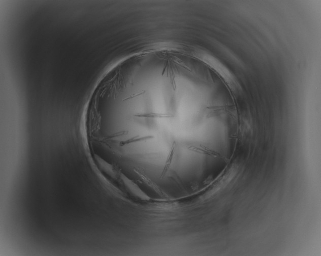 X0000102791055200808251024