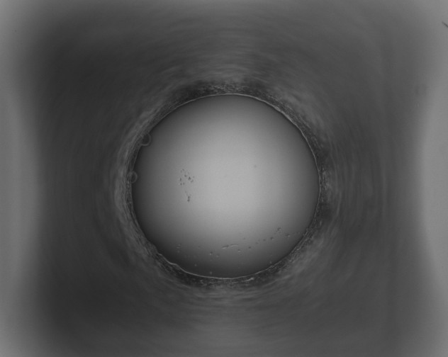 X0000102791057200808251024
