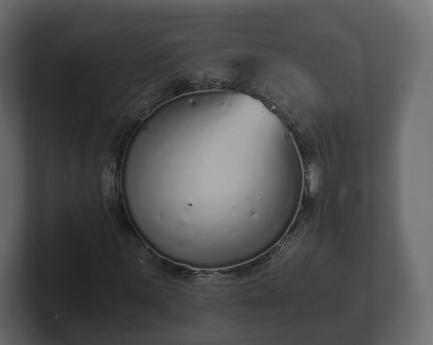 X0000102791059200808251024