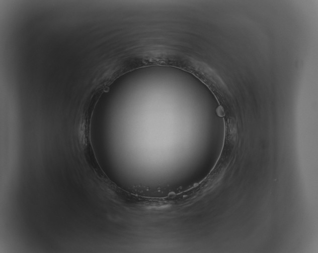 X0000102791060200808251024