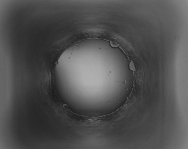 X0000102791061200808251024