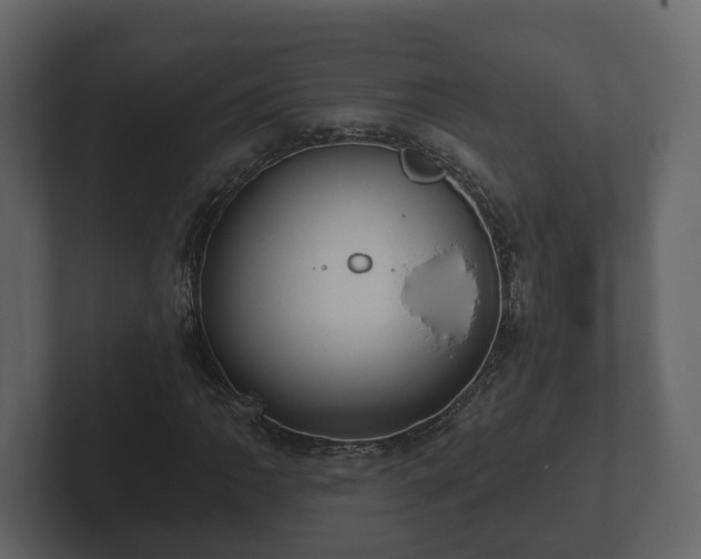 X0000102791062200808251024