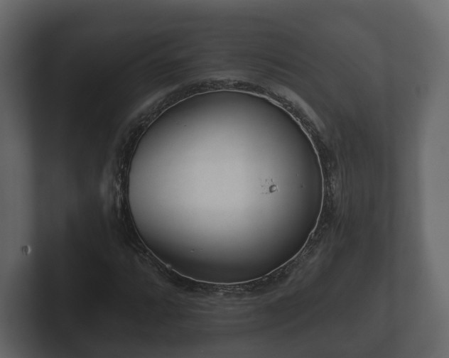 X0000102791064200808251024