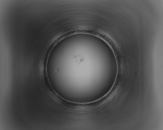 X0000102791065200808251024