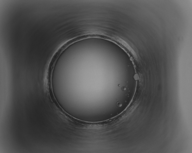 X0000102791068200808251024