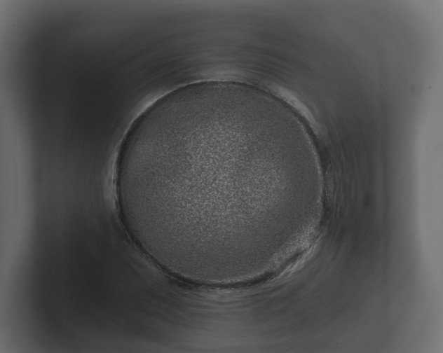 X0000102791071200808251024