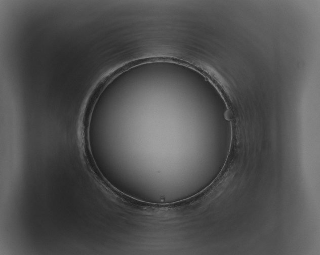 X0000102791072200808251024